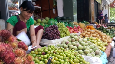 Hộ kinh doanh sợ “vỡ nợ” trước khi thành công