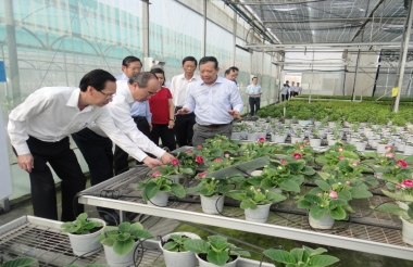Cần bổ sung chính sách phát triển giống cây trồng mới