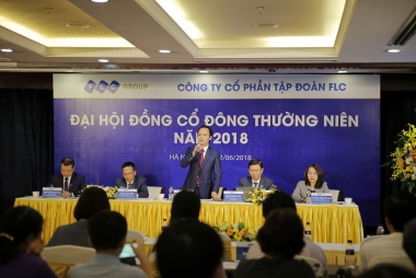 Năm 2017: Tập đoàn FLC đạt tăng trưởng doanh thu 87,8%