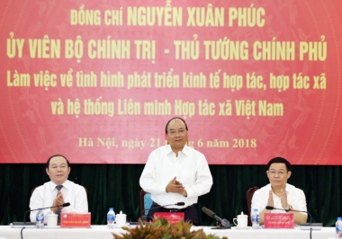 Tổ chức, sắp xếp lại, giải tán hợp tác xã yếu kém, bao cấp, “bình mới rượu cũ” là cần thiết