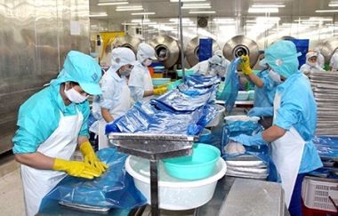88,5% doanh nghiệp lạc quan với tình hình sản xuất, kinh doanh quý III