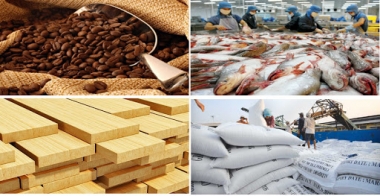 Sớm khôi phục lại các hoạt động sản xuất, chế biến nông sản bị ảnh hưởng của đại dịch