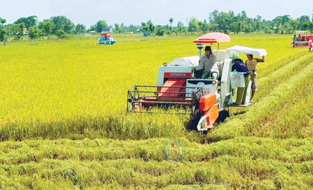 Phó Thủ tướng giao Bộ Kế hoạch và Đầu tư chủ trì tổ chức Diễn đàn kinh tế hợp tác, hợp tác xã