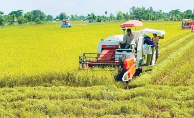 Phó Thủ tướng giao Bộ Kế hoạch và Đầu tư chủ trì tổ chức Diễn đàn kinh tế hợp tác, hợp tác xã