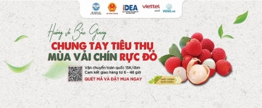 Xoay chuyển tình thế tiêu thụ nông sản tới vụ giữa tâm dịch Covid-19