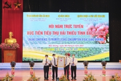 Xúc tiến tiêu thụ vải thiều tỉnh Bắc Giang năm 2021