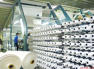 Cổ phiếu dệt may - Cơ hội từ TPP