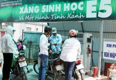 Xăng sinh học: Hành trình gian nan