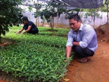 Tạo điều kiện tốt nhất phát triển kinh tế tập thể cho thanh niên Hà Tĩnh