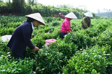 Việt Nam ký kết 4 Hiệp định Tín dụng trị giá 507 triệu USD