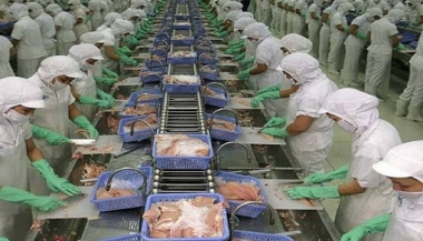 Doanh nghiệp cần lưu ý những gì khi các FTA có hiệu lực?