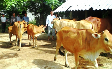 Tiếp sức cho hộ mới thoát nghèo