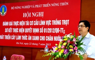 Tái cơ cấu ngành trồng trọt: Hướng đến sản xuất hàng hóa