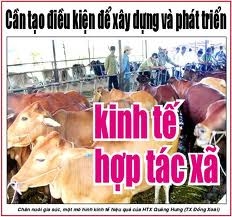 Bảo đảm Luật Hợp tác xã 2012 được triển khai một cách hiệu quả