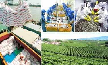 Trợ lực, “gỡ” khó cho nông sản xuất ngoại