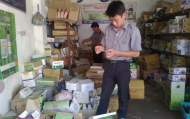 Phân bón giả, kém chất lượng: nông dân điêu đứng