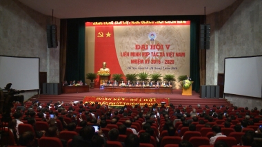 Liên minh HTX:  Phát huy vai trò nòng cốt dẫn dắt phong trào hợp tác xã phát triển