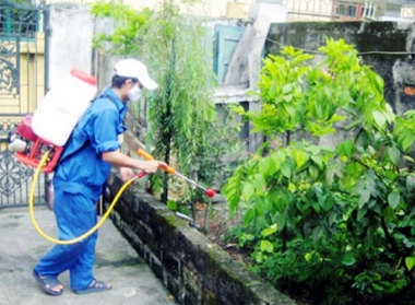 Gần 49.000 trường hợp mắc bệnh sốt xuất huyết trong cả nước