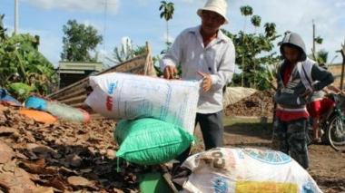 Không để thương lái Trung Quốc "thao túng" nông sản Việt
