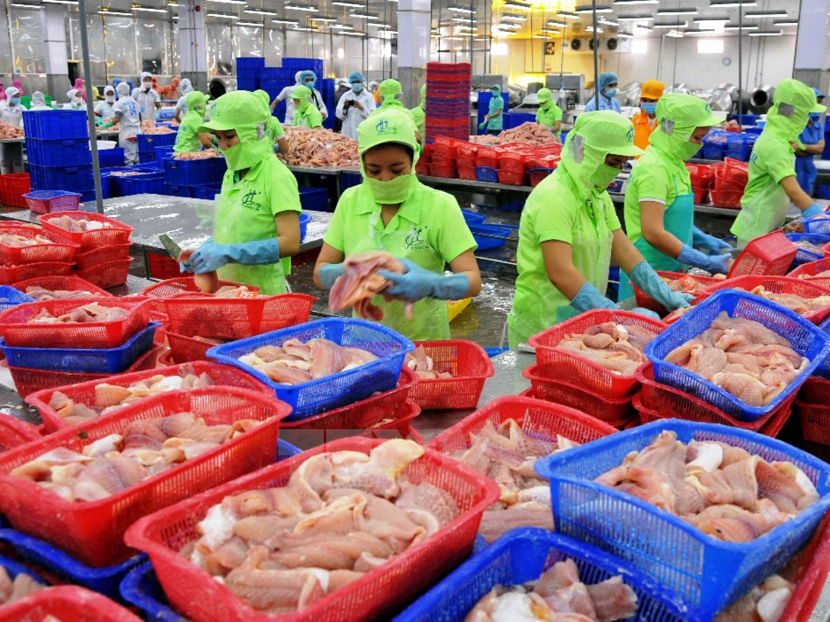 Xuất khẩu nông, lâm, thủy sản tháng 7/2017 ước đạt 3,11 tỷ USD