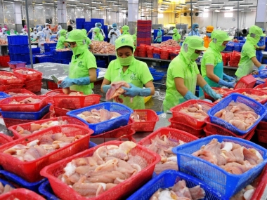 Xuất khẩu nông, lâm, thủy sản tháng 7/2017 ước đạt 3,11 tỷ USD