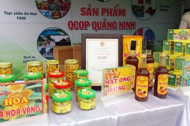 Hàng ngàn sản phẩm nông nghiệp đã đăng ký tiêu chuẩn OCOP