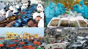 Từ năm 2016 đến tháng 6/2019, cả nước đã cổ phần hóa 162 DN