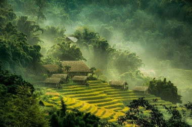 Hết năm 2019, khu vực miền núi phía Bắc đạt 28,0% số xã đạt chuẩn nông thôn mới