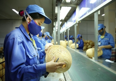 Thủ tướng yêu cầu đẩy mạnh triển khai Luật Hỗ trợ doanh nghiệp nhỏ và vừa