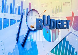 Thu NSNN đến ngày 15/7/2020 bằng 46,1% dự toán năm