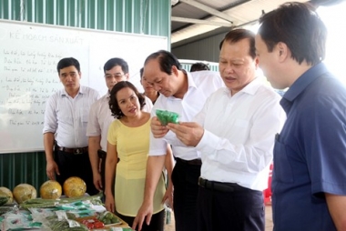 Hà Nam cần nâng cao hơn tính liên kết trong tiêu thụ sản phẩm nông nghiệp