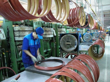 Trạng thái “nghẹt rễ” của cộng đồng doanh nghiệp Việt Nam