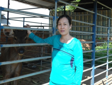 Trại hươu nai Trang với hướng đi mới