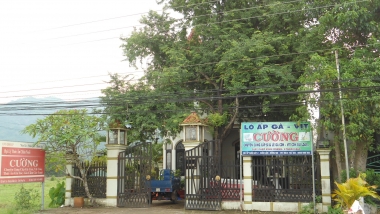 Tận tâm với Nghề!