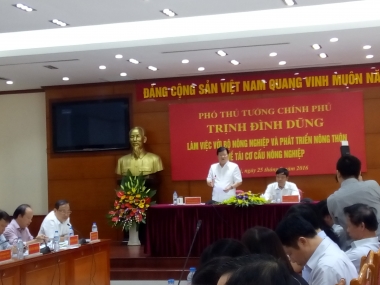 Tái cơ cấu nông nghiệp phải tạo ra sản phẩm gắn với nhu cầu của thị trường