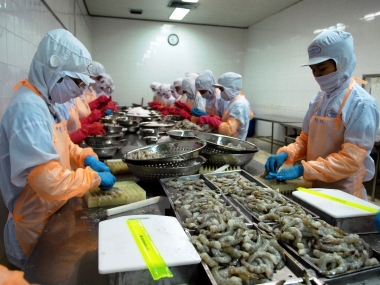 8 tháng, xuất khẩu nông lâm thủy sản đạt 20,06 tỷ USD