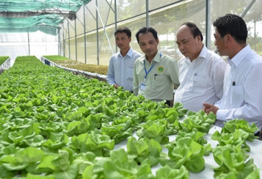 Chậm giải ngân gói tín dụng phát triển nông nghiệp công nghệ cao do đâu?