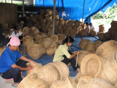 Còn nhiều "nút thắt" trong thực hiện Luật Hợp tác xã