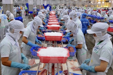 Tận dụng lợi thế xuất khẩu nông sản nhiệt đới sang EU