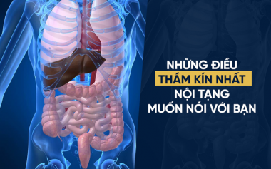 Bật mí những điều mà cơ quan nội tạng sợ nhất