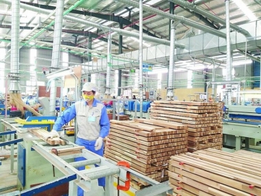 Xuất siêu 11,9 tỷ USD trong 8 tháng