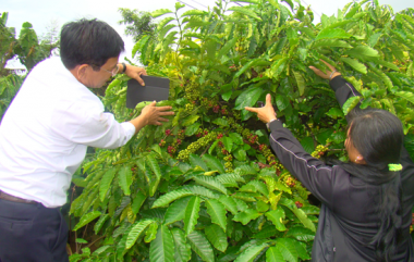 Lĩnh vực trồng trọt đang tăng trưởng chậm lại