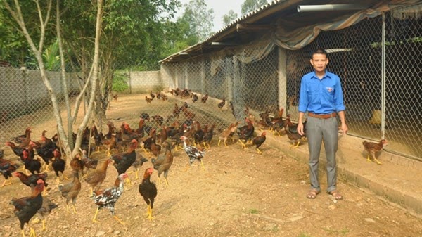Về quê lập nghiệp, hướng đi mới cho các bạn trẻ