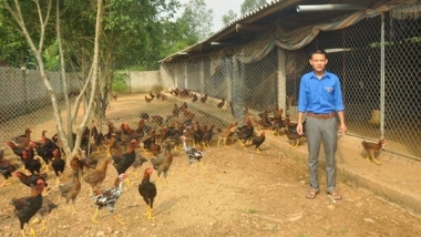 Về quê lập nghiệp, hướng đi mới cho các bạn trẻ