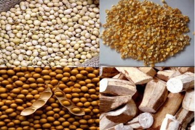 Nguyên liệu nhập khẩu: Nỗi lo của ngành chăn nuôi