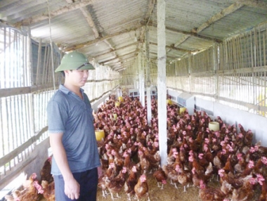 Mô hình thanh niên làm KTTT tại Vĩnh Phúc tiếp tục phát huy hiệu quả