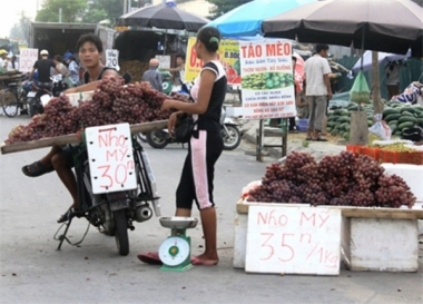 Cẩn trọng với "nho Mỹ" giá rẻ bày bán tràn lan vỉa hè