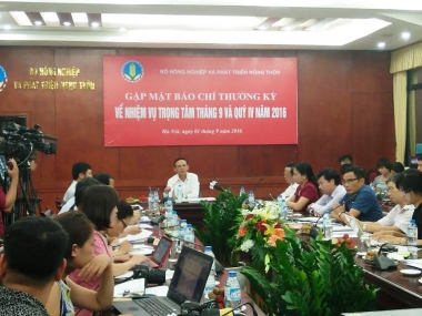 Đến ngày 15/9, sẽ hoàn thành xong việc thống kê thiệt hại do sự cố Formosa