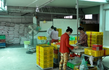 Thành công, nhưng cần có chính sách hỗ trợ vốn từ phía Nhà nước