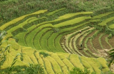Phấn đấu đến năm 2030: Sa Pa đón khoảng 5,2 triệu lượt khách